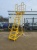 Second Hand 10 Step Mobile Ladder With Access